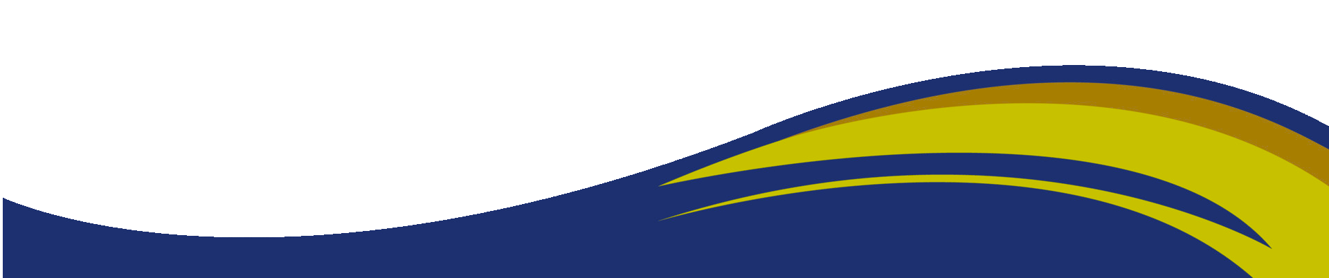 เวกเตอร์โค้ง